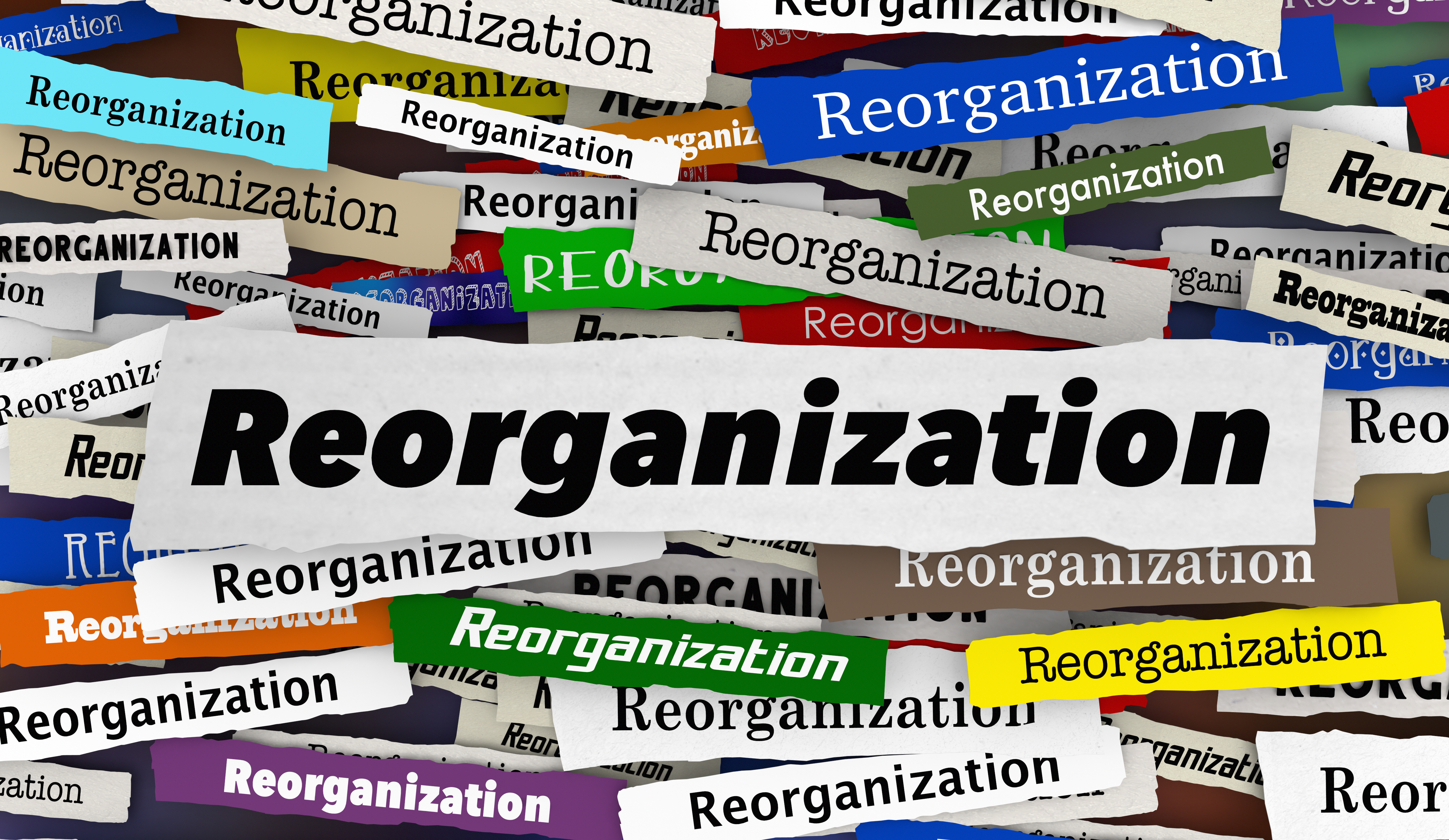 Reorganization header
