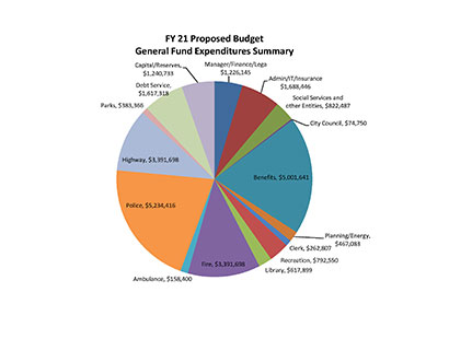 Copy-of-Pie-Charts-City-Council-Approved-Draft-Budget-for-FY21v2