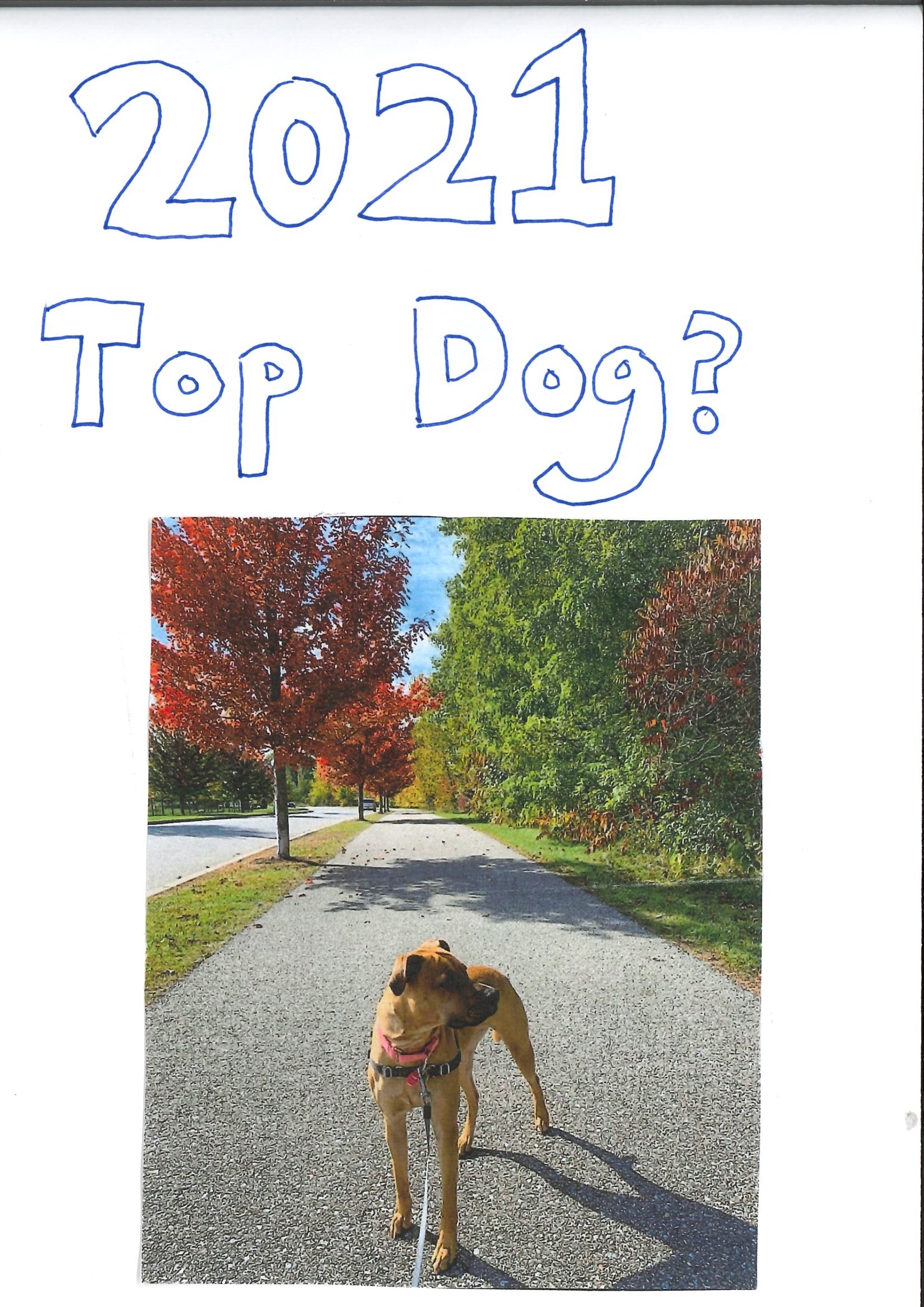 top dog candidate_Page_1
